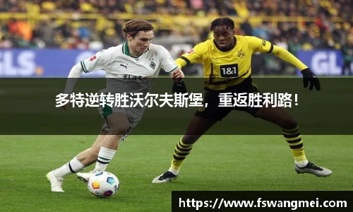 多特逆转胜沃尔夫斯堡，重返胜利路！
