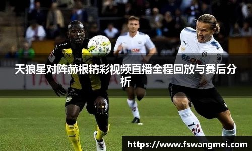 天狼星对阵赫根精彩视频直播全程回放与赛后分析