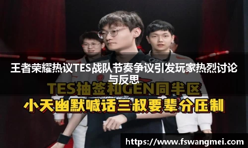 王者荣耀热议TES战队节奏争议引发玩家热烈讨论与反思